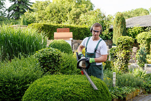 Best Residential Tree Removal  in Helena, AL